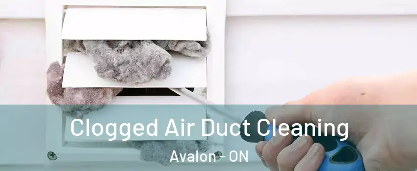  Clogged Air Duct Cleaning Avalon - ON