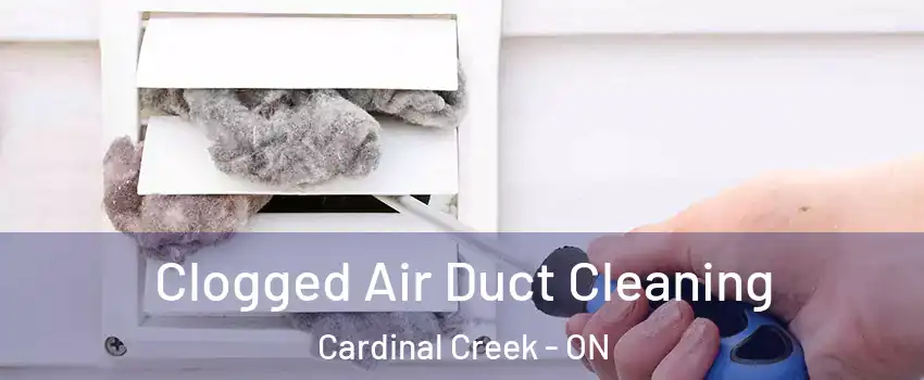  Clogged Air Duct Cleaning Cardinal Creek - ON