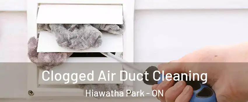 Clogged Air Duct Cleaning Hiawatha Park - ON