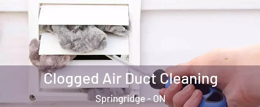  Clogged Air Duct Cleaning Springridge - ON