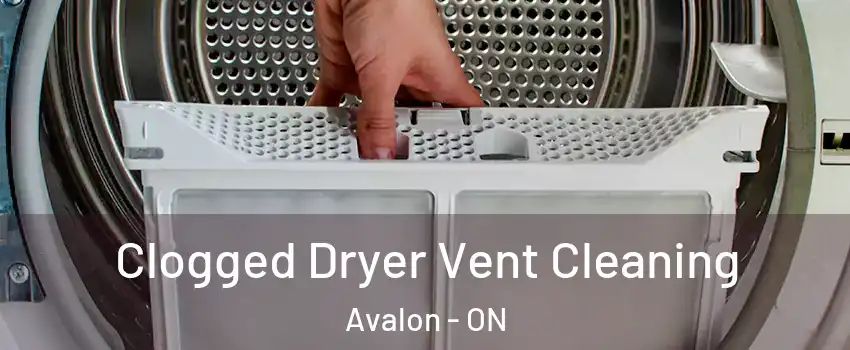  Clogged Dryer Vent Cleaning Avalon - ON