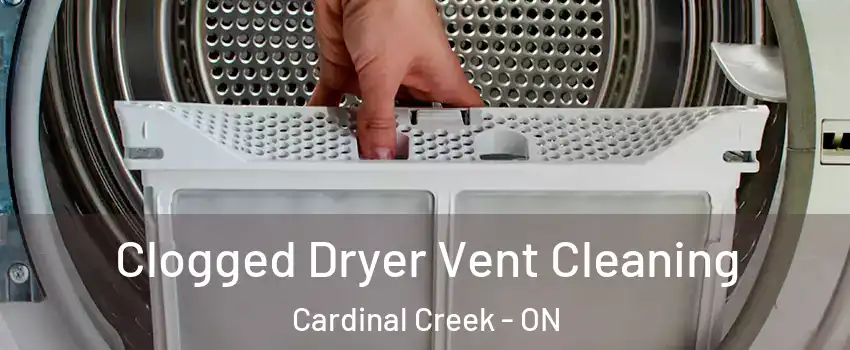  Clogged Dryer Vent Cleaning Cardinal Creek - ON