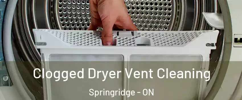  Clogged Dryer Vent Cleaning Springridge - ON