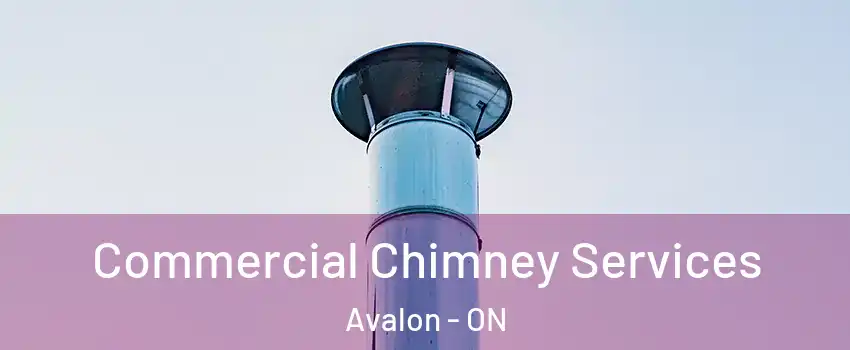  Commercial Chimney Services Avalon - ON