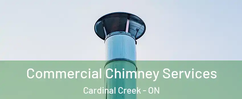 Commercial Chimney Services Cardinal Creek - ON