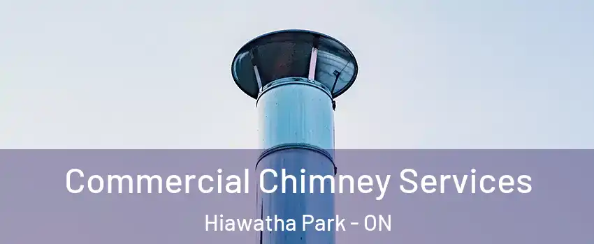  Commercial Chimney Services Hiawatha Park - ON