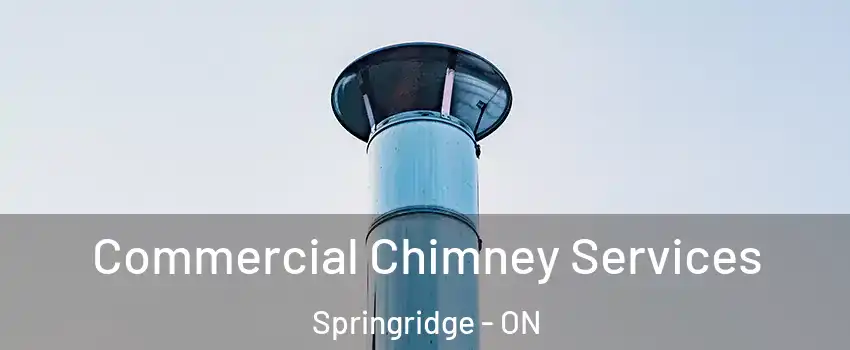  Commercial Chimney Services Springridge - ON