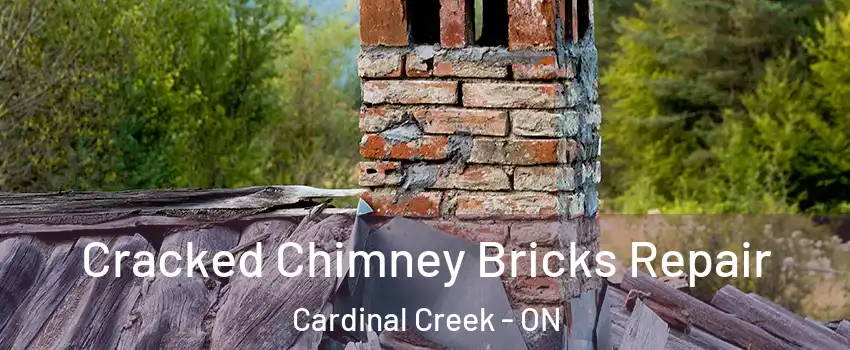  Cracked Chimney Bricks Repair Cardinal Creek - ON