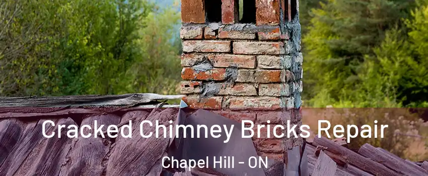  Cracked Chimney Bricks Repair Chapel Hill - ON