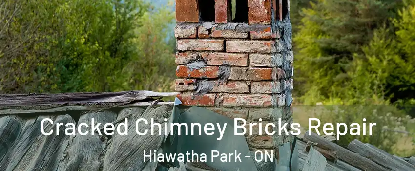 Cracked Chimney Bricks Repair Hiawatha Park - ON