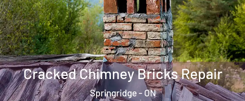  Cracked Chimney Bricks Repair Springridge - ON