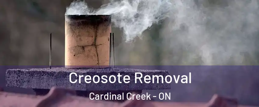  Creosote Removal Cardinal Creek - ON