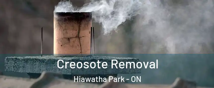  Creosote Removal Hiawatha Park - ON