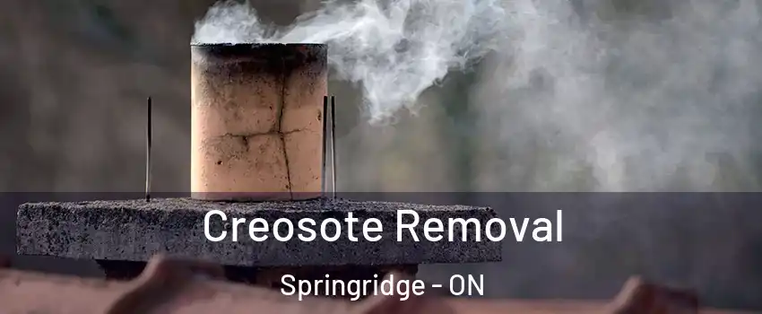  Creosote Removal Springridge - ON