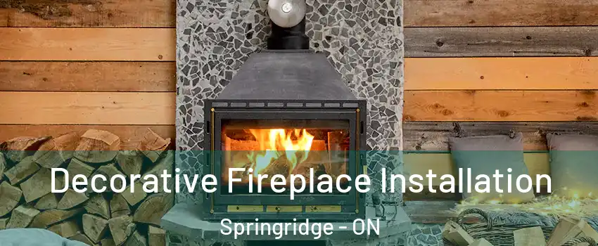  Decorative Fireplace Installation Springridge - ON