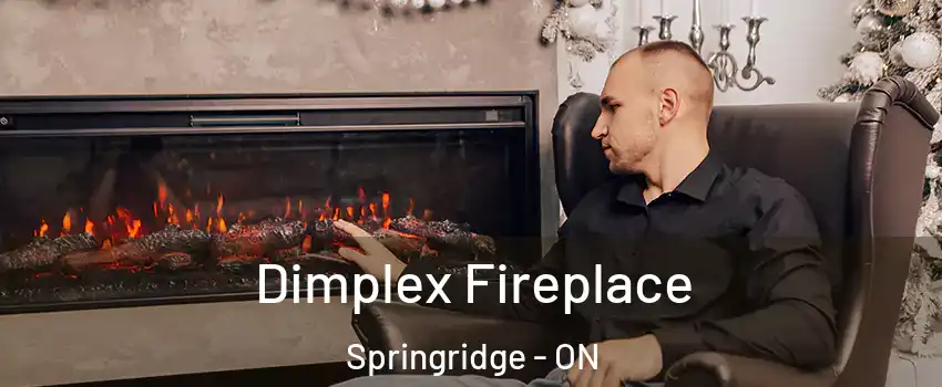  Dimplex Fireplace Springridge - ON