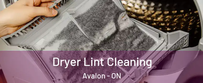  Dryer Lint Cleaning Avalon - ON