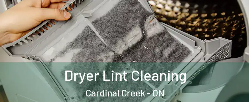  Dryer Lint Cleaning Cardinal Creek - ON