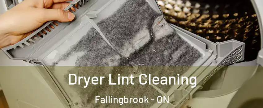  Dryer Lint Cleaning Fallingbrook - ON