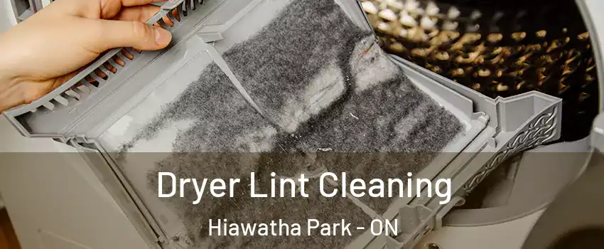  Dryer Lint Cleaning Hiawatha Park - ON