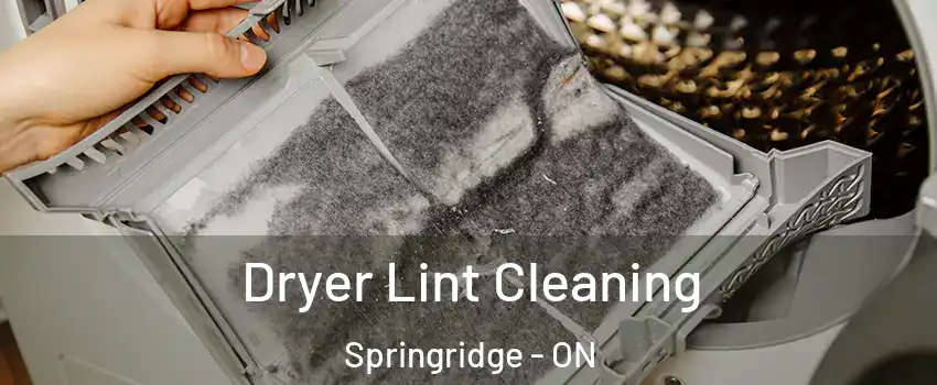  Dryer Lint Cleaning Springridge - ON