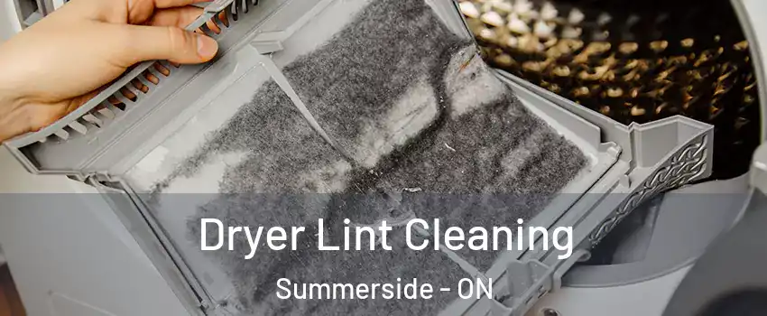  Dryer Lint Cleaning Summerside - ON