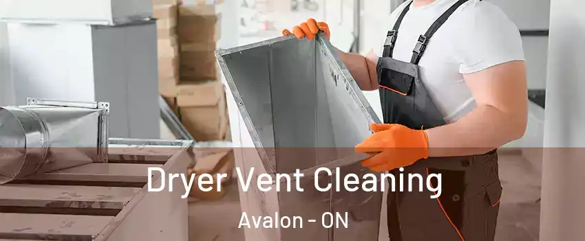  Dryer Vent Cleaning Avalon - ON