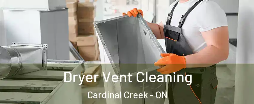  Dryer Vent Cleaning Cardinal Creek - ON