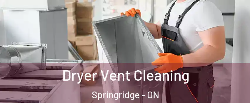 Dryer Vent Cleaning Springridge - ON