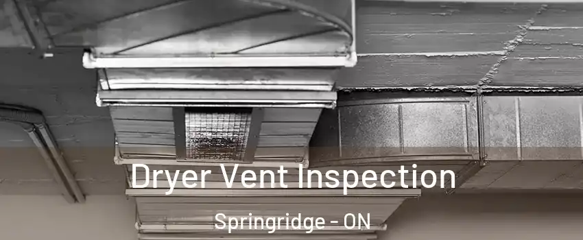  Dryer Vent Inspection Springridge - ON