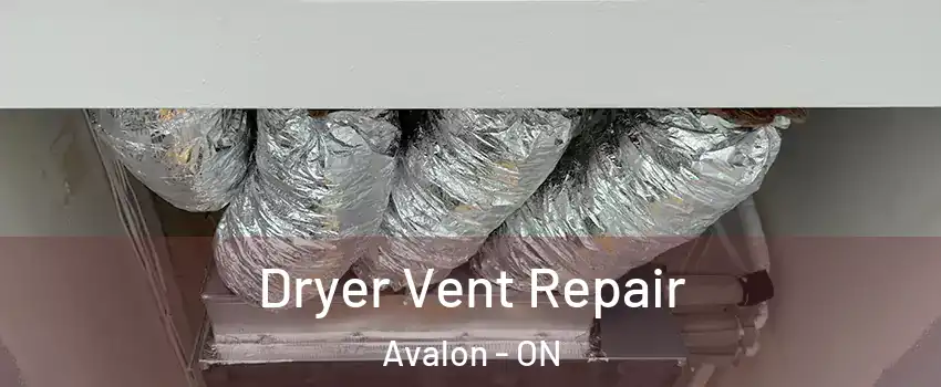  Dryer Vent Repair Avalon - ON