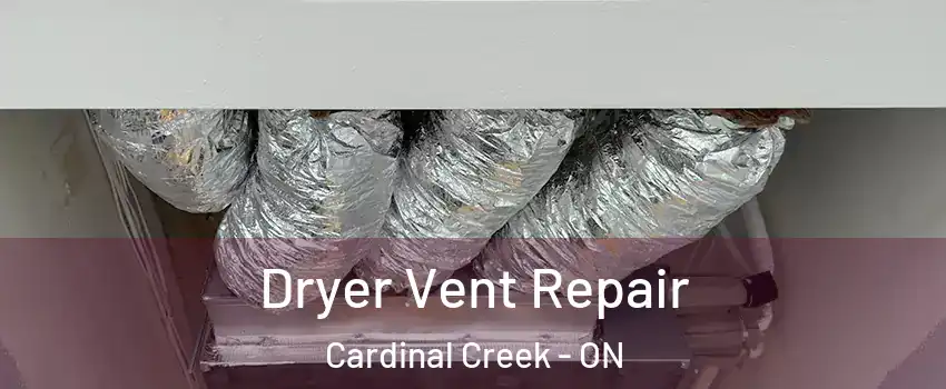  Dryer Vent Repair Cardinal Creek - ON