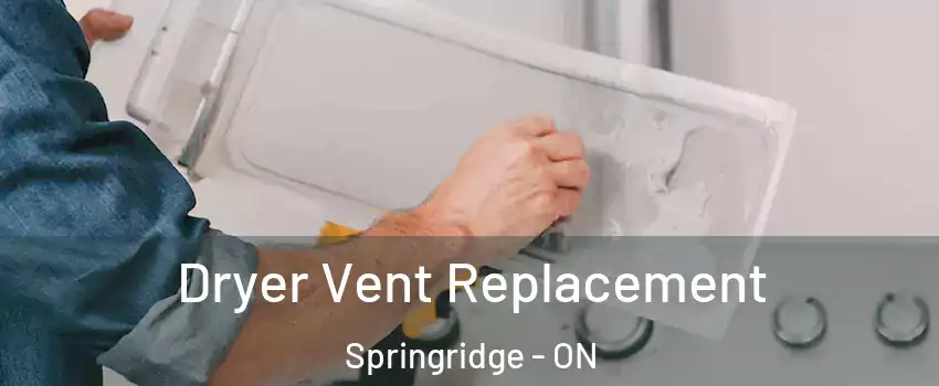 Dryer Vent Replacement Springridge - ON