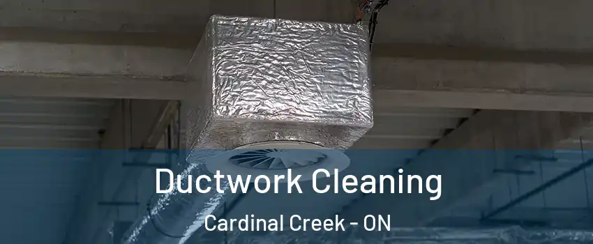  Ductwork Cleaning Cardinal Creek - ON