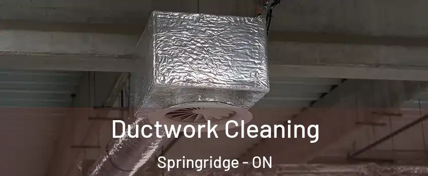 Ductwork Cleaning Springridge - ON