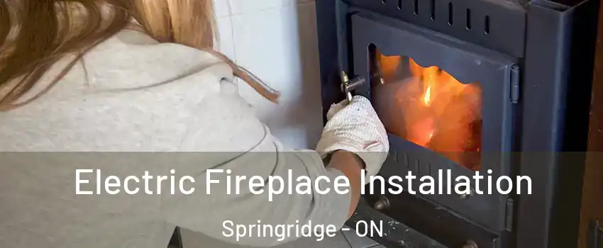  Electric Fireplace Installation Springridge - ON