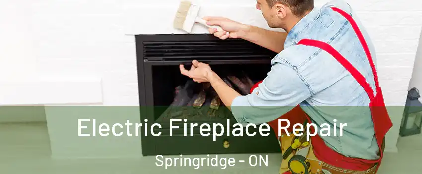  Electric Fireplace Repair Springridge - ON