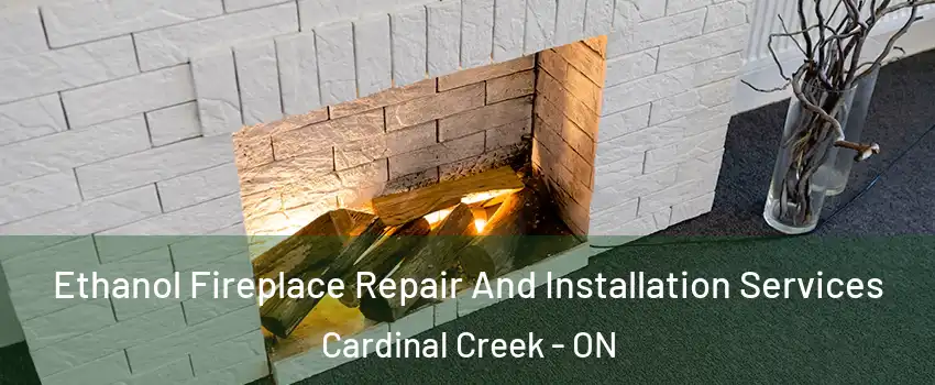 Ethanol Fireplace Repair And Installation Services Cardinal Creek - ON