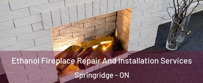  Ethanol Fireplace Repair And Installation Services Springridge - ON