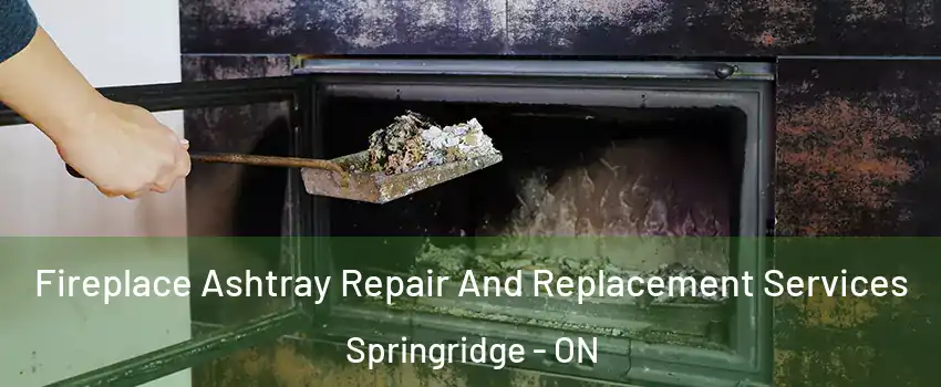 Fireplace Ashtray Repair And Replacement Services Springridge - ON