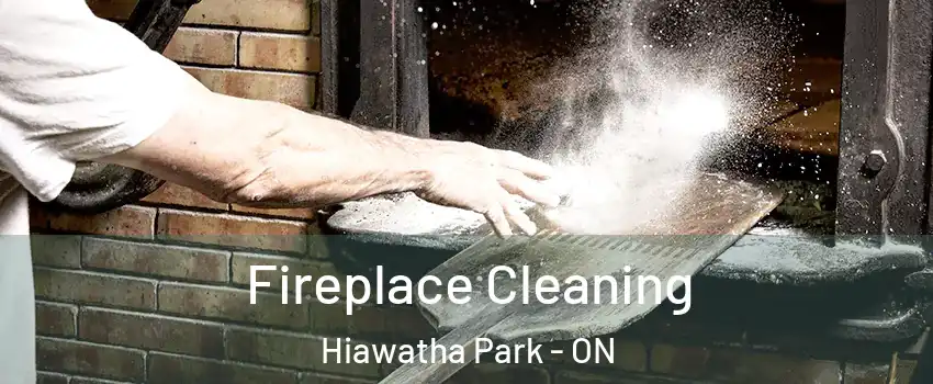  Fireplace Cleaning Hiawatha Park - ON