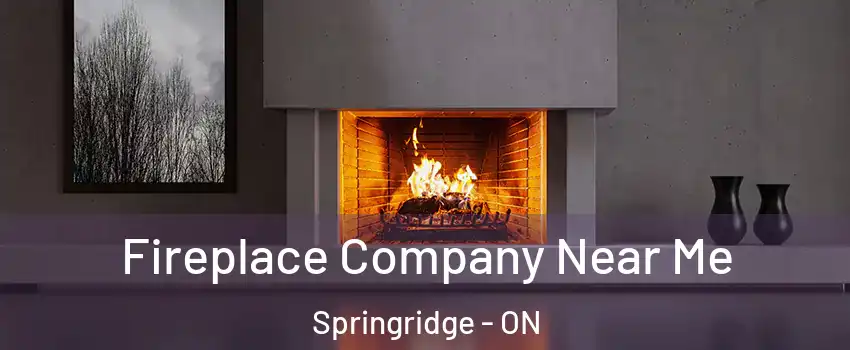  Fireplace Company Near Me Springridge - ON