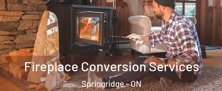  Fireplace Conversion Services Springridge - ON