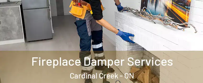 Fireplace Damper Services Cardinal Creek - ON