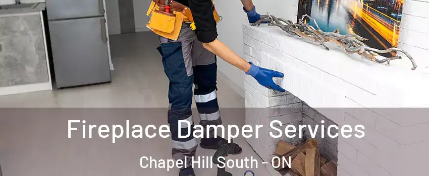  Fireplace Damper Services Chapel Hill South - ON