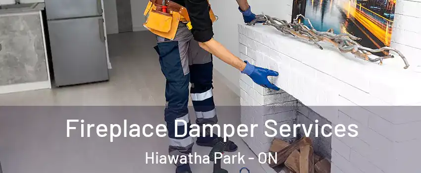  Fireplace Damper Services Hiawatha Park - ON