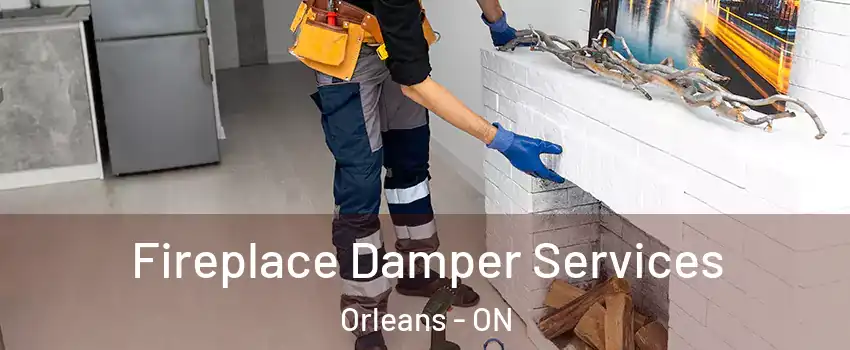  Fireplace Damper Services Orleans - ON