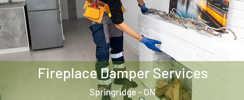 Fireplace Damper Services Springridge - ON