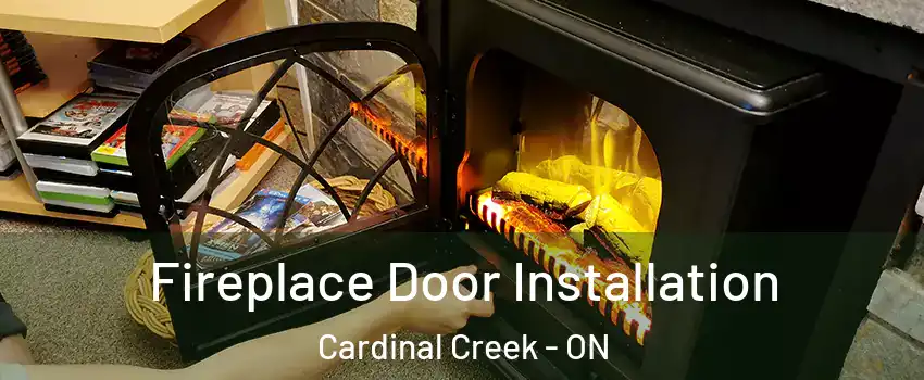  Fireplace Door Installation Cardinal Creek - ON