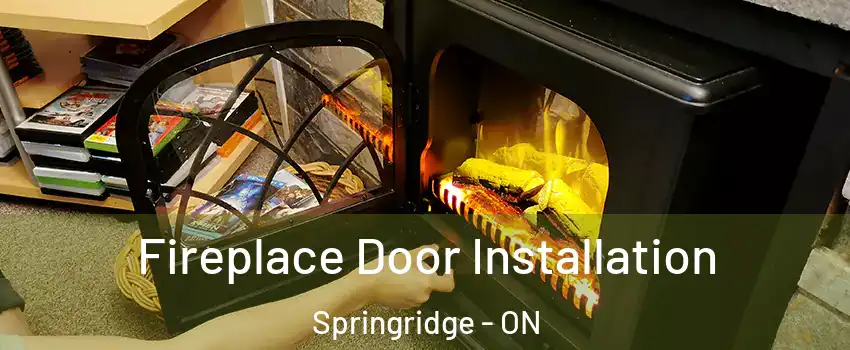 Fireplace Door Installation Springridge - ON